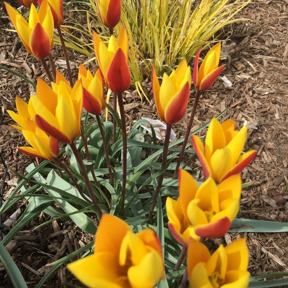 Meet your Posher, Terry - Picture 4 of 16